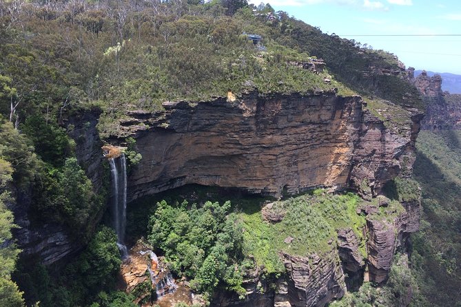 PRIVATE Blue Mountains tour & Koalas, Kangaroos, Cruise plus more - Key moments you will remember