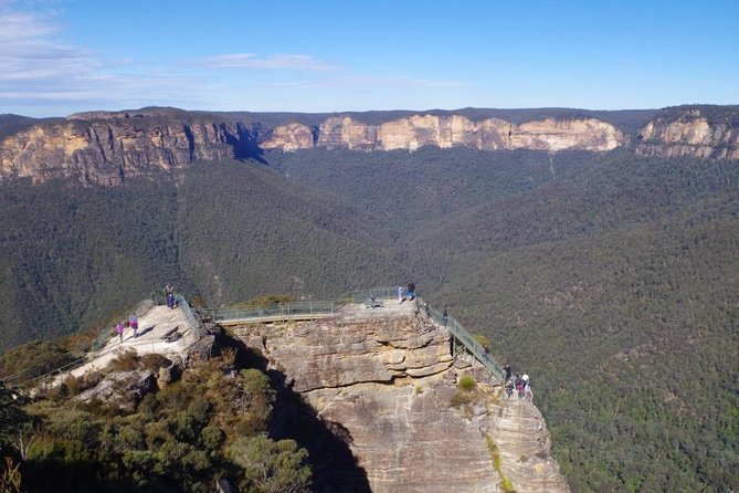 PRIVATE Blue Mountains tour & Koalas, Kangaroos, Cruise plus more - Private transport plus live commentary, so the drive feels like part of the trip