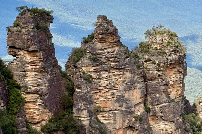 PRIVATE Blue Mountains tour & Koalas, Kangaroos, Cruise plus more - The ferry cruise back to Sydney Harbour: a smart ending