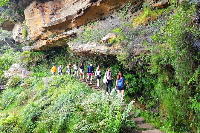 PRIVATE Blue Mountains Tour, Wildlife Park and River Cruise - Finishing With a Parramatta River Ferry Near the Opera House
