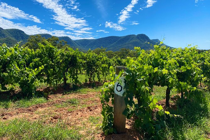 PRIVATE Blue Mountains Tour, Wildlife Park and River Cruise - Who This Private Blue Mountains Tour Fits Best