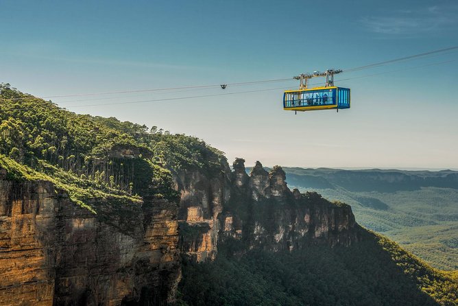 PRIVATE Blue Mountains Tour, Wildlife Park and River Cruise - Featherdale Wildlife Park vs Sydney Zoo, What You’ll See