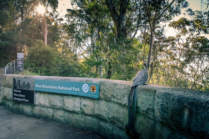 PRIVATE Blue Mountains Wilderness & Wildlife Late Start Tour - Why the late start makes this Blue Mountains day feel different