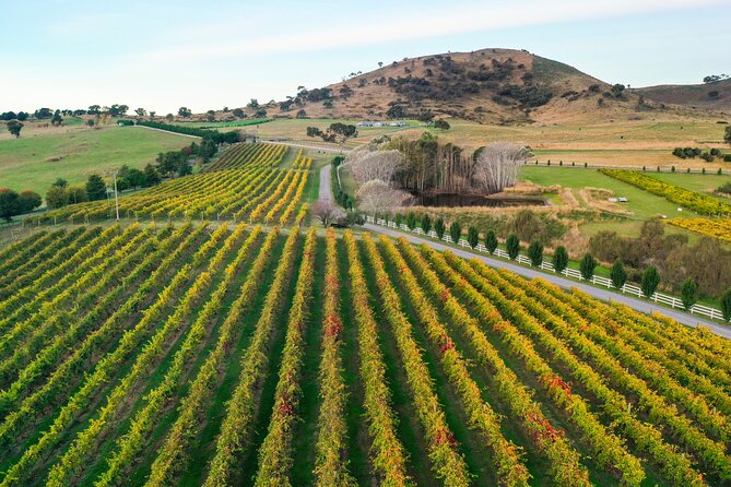 Private Canberra Winery Tour with lunch - What you learn about cool-climate Canberra reds and whites