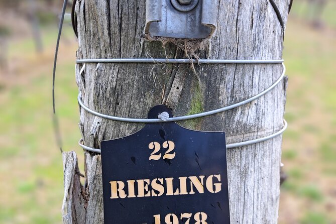 Private Canberra Winery Tour with lunch - Who should book this Canberra wine day