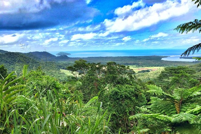 Private Cape Tribulation & Mossman Gorge Day Tour - Key Highlights Worth Your Time