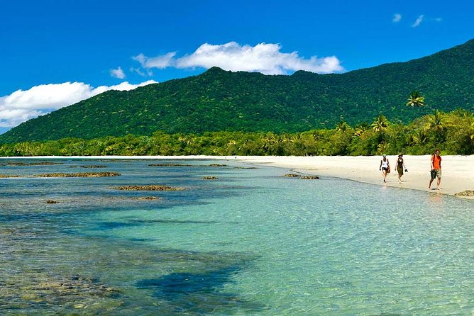 Private Cape Tribulation & Mossman Gorge Day Tour - The Big Picture: A Full Day That’s Actually Organized