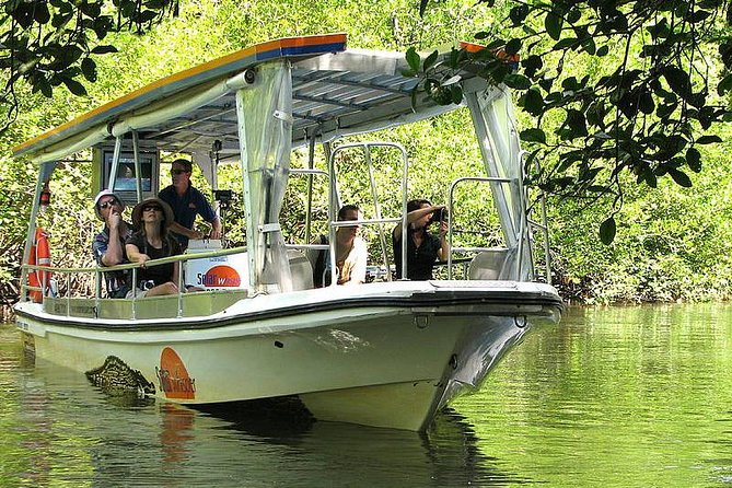 Private Cape Tribulation & Mossman Gorge Day Tour - Morning Start From Cairns: Scenic Roads, Quick Stops, No Car Needed