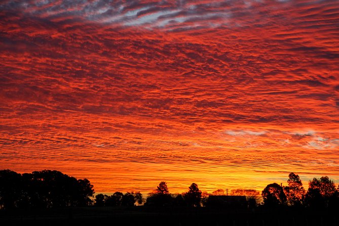 Private full-day wine tour in the Hunter Valley - Key highlights to know before you book