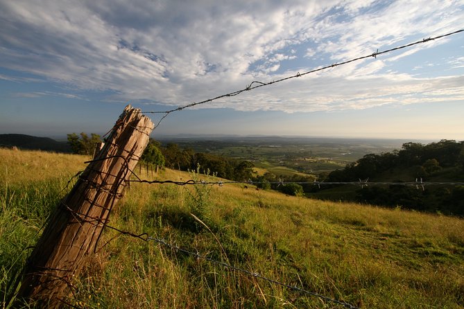 Private full-day wine tour in the Hunter Valley - Practical tips to make the most of 6 to 7 hours