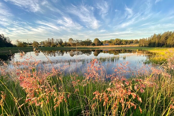 Private full-day wine tour in the Hunter Valley - Who this private Hunter Valley tour fits best