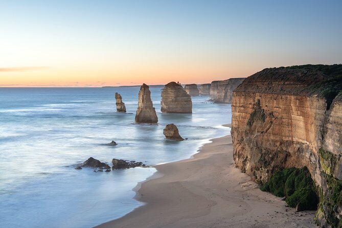 Private Great Ocean Road - The Ultimate Aussie Adventure - Koalas in the treetops and kangaroos on the move