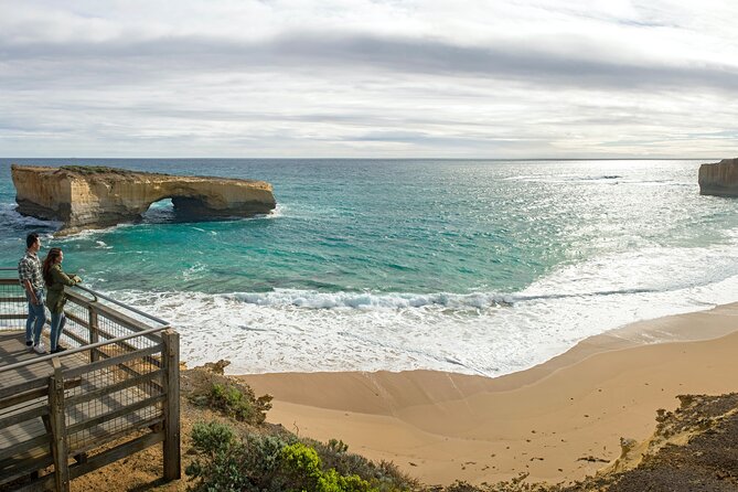 Private Great Ocean Road - The Ultimate Aussie Adventure - Eucalyptus forests, gum tree facts, and the small wild things