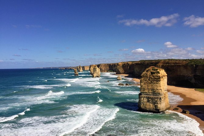 Private Great Ocean Road Tour (overnight option) - Lorne surf session: the part you should prioritize