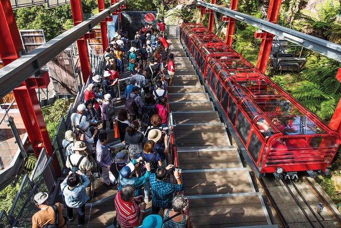 Private Guided Tour: Blue Mountains Tour from Sydney - My bottom line: should you book this Blue Mountains private tour?
