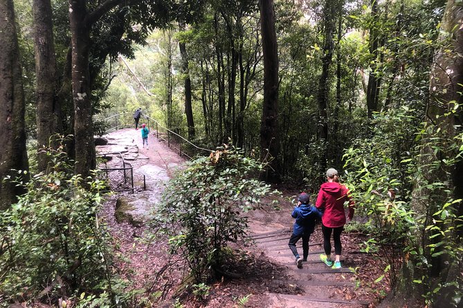 Private Guided Tour from Sydney to Blue Mountains National Park - Cahills Lookout and the Megalong Valley perspective shift