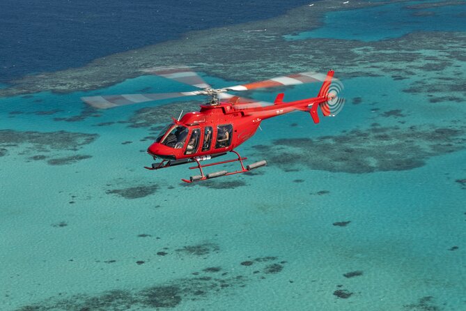 Private Helicopter Tour: Reef Island Snorkeling and Gourmet Picnic Lunch - The gourmet picnic with sparkling wine: what it feels like in real life