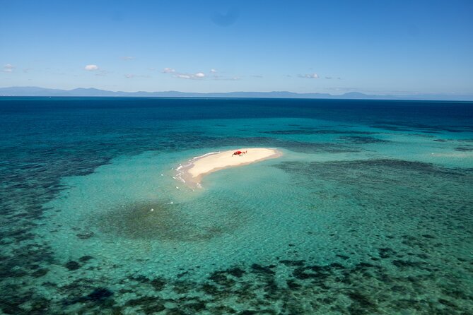 Private Helicopter Tour: Reef Island Snorkeling and Gourmet Picnic Lunch - Landing on Vlasoff Cay, or Turtle Beach if Vlasoff is occupied