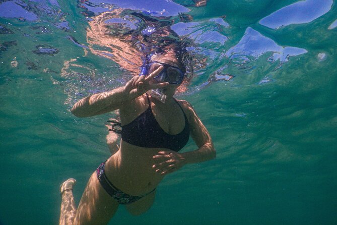 Private Snorkeling Tour In Sydney's Marine Reserve - Bronte-Coogee Marine Reserve, why Sydney works for snorkel