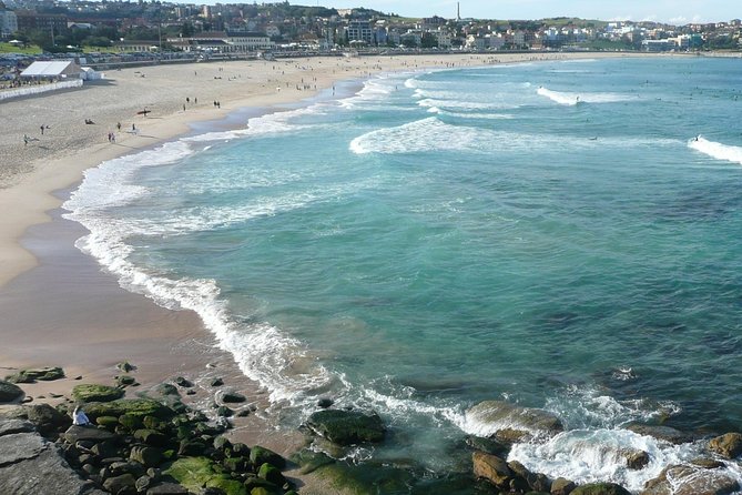 Private Sydney City Tour: The Key Attractions - Why this private Sydney loop helps you get oriented fast