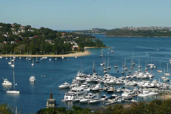 Private Sydney City Tour: The Key Attractions - Centennial Park, Paddington, Darlinghurst, and Surry Hills, the city’s in-between