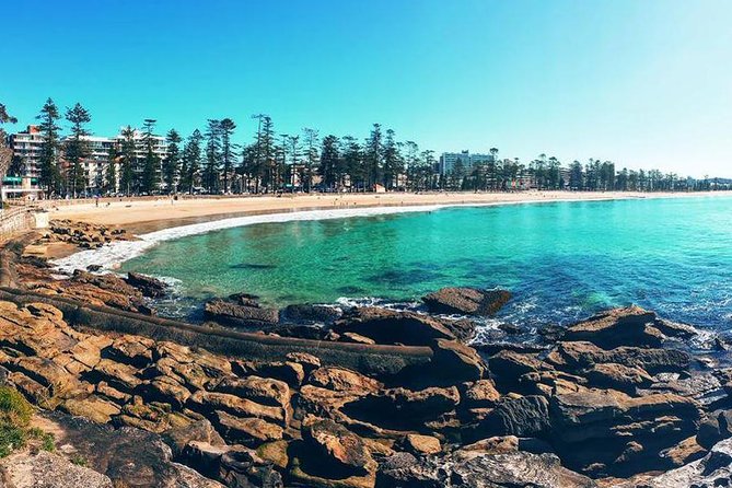 Private Sydney Tour Including Sydney Opera House, Bondi and Manly - Why this private Sydney day works so well