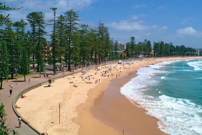 Private Sydney Tour Including Sydney Opera House, Bondi and Manly - Bondi Beach promenade time, and how to make it worthwhile