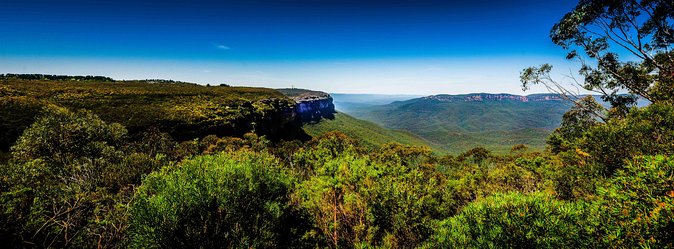 Private Tour: Blue Mountains Day Trip from Sydney - Blue Mountains Botanic Garden: A Calm Finish on the Return