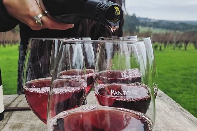 Private Wine Tasting Tour in Mornington Peninsula with Lunch - Entering The Day: hotel pickup, a set start time, and real “no driving” value