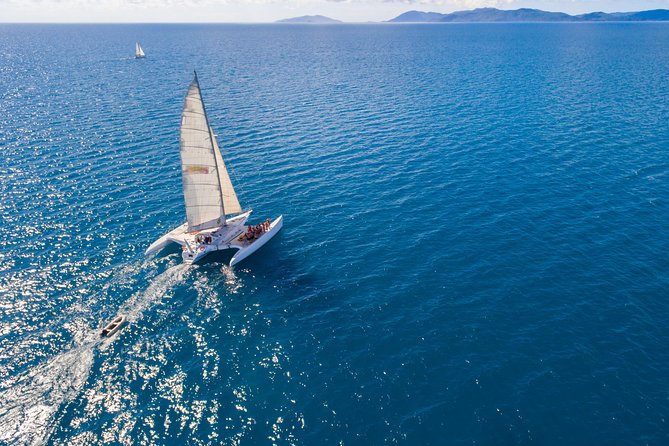 Providence Whitehaven Beach Sailing and Snorkeling Cruise - Lunch, coffee, tea, and hydration: what’s actually on the menu