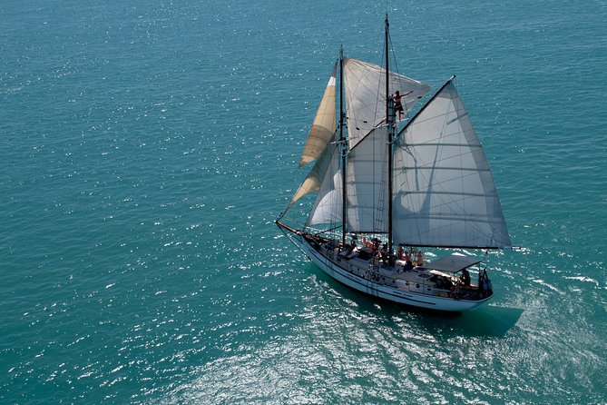 Providence Whitehaven Beach Sailing and Snorkeling Cruise - Coral Sea Marina North at 7 AM: the logistics that shape your day
