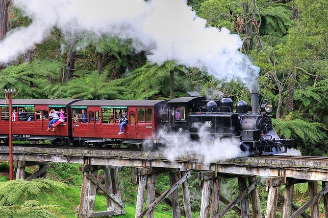 Puffing Billy And Healesville Sanctuary Scenic Tour - Key things I’d circle before you book