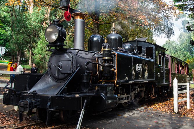 Puffing Billy And Healesville Sanctuary Scenic Tour - Emerald Lake: an easy walk before the steam train