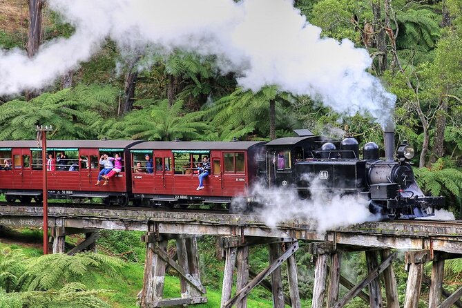 Puffing Billy And Phillip Island Penguin Parade Bus Tour - Why Puffing Billy and the Penguin Parade fit together so well