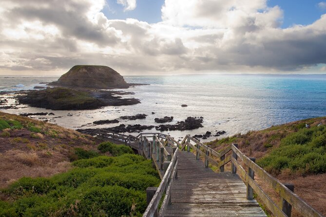 Puffing Billy And Phillip Island Penguin Parade Bus Tour - Nobbies lookout and boardwalk: sea views and wildlife edges