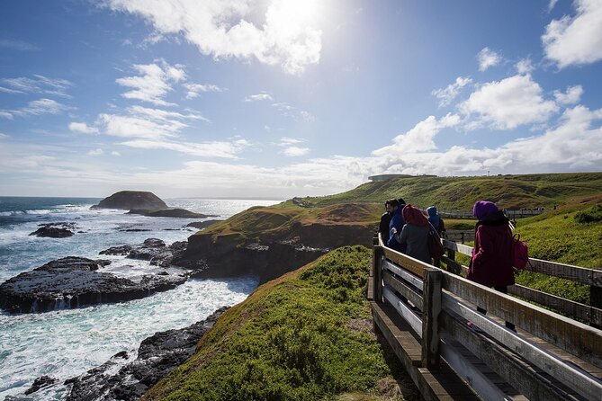 Puffing Billy And Phillip Island Penguin Parade Bus Tour - The guide makes the difference: bus commentary that actually helps