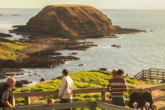 Puffing Billy And Phillip Island Penguin Parade Bus Tour - Meeting in Melbourne, then letting the day move