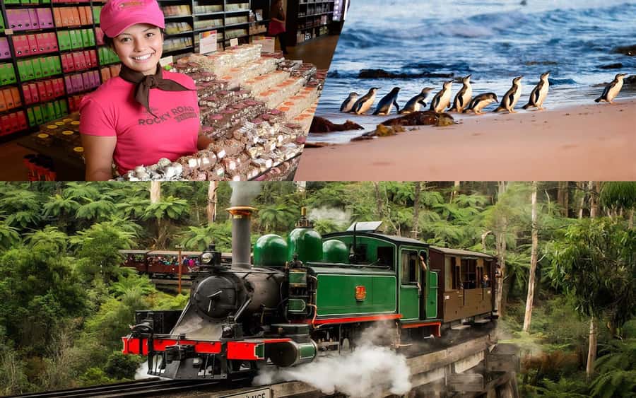 Puffing Billy Penguin Parade Winery Chocolaterie All-in-One - Key things that make this tour work
