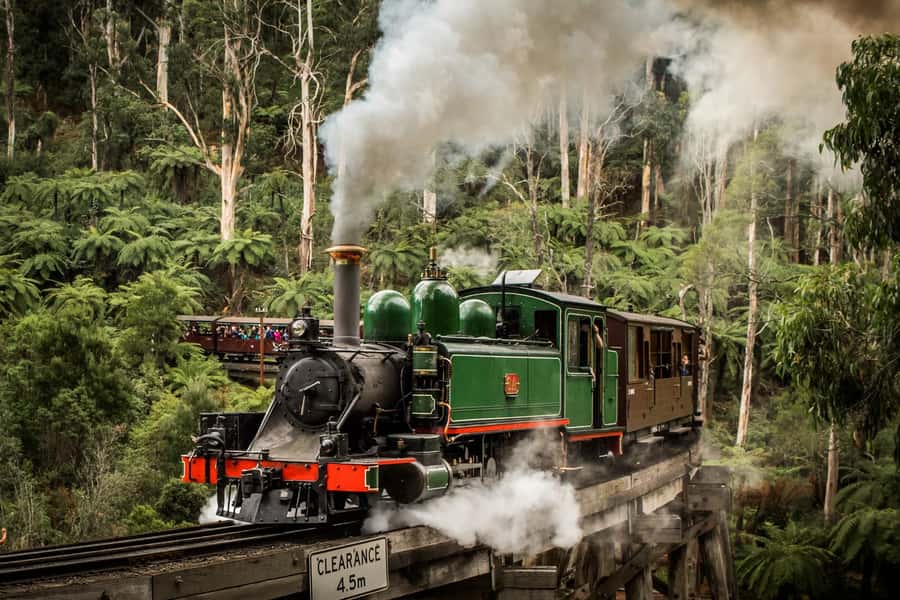 Puffing Billy Penguin Parade Winery Chocolaterie All-in-One - A full-day Yarra Valley to Phillip Island combo that actually fits