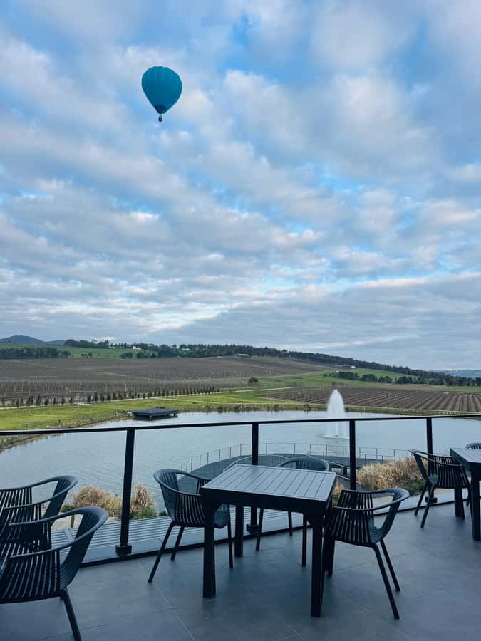 Puffing Billy Penguin Parade Winery Chocolaterie All-in-One - Penguin Parade at Phillip Island: time it with your warm clothes