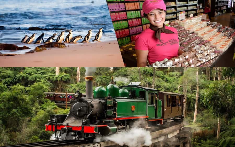 Puffing Billy Penguin Parade Winery Chocolaterie All-in-One - Price and value: where the $120 goes