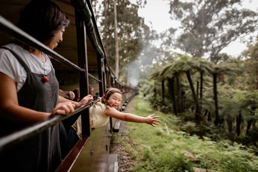 Puffing Billy Railway: Heritage Steam Train Journey - Why Puffing Billy Feels More Authentic Than a Normal Day Trip