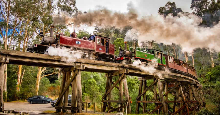 Puffing Billy Railway: Heritage Steam Train Journey - Lakeside Visitor Centre and Emerald Lake Park: The Break That Makes the Half-Day