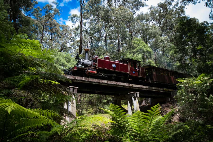 Puffing Billy Railway: Heritage Steam Train Journey - Who Should Book Puffing Billy, and Who Might Want Another Option