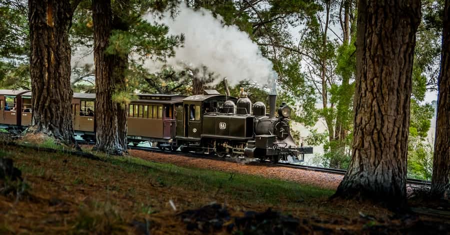 Puffing Billy Railway: Heritage Steam Train Journey - Belgrave or Lakeside, Picking Your Starting Point