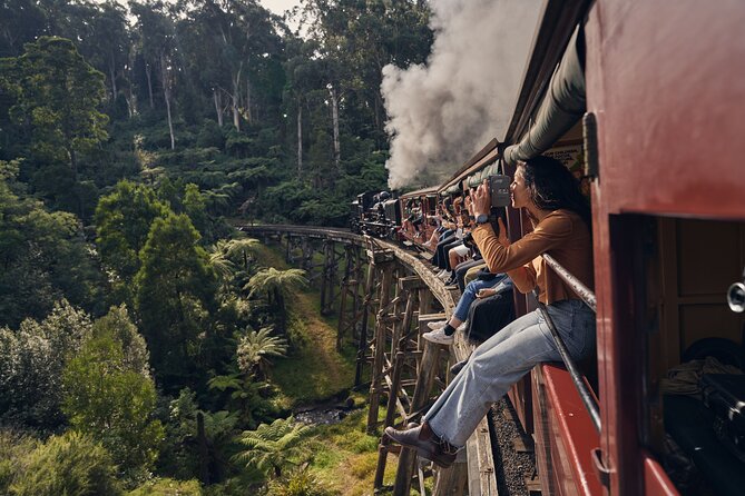 Puffing Billy & Rainforest Tour from Melbourne - Key highlights you’ll notice right away
