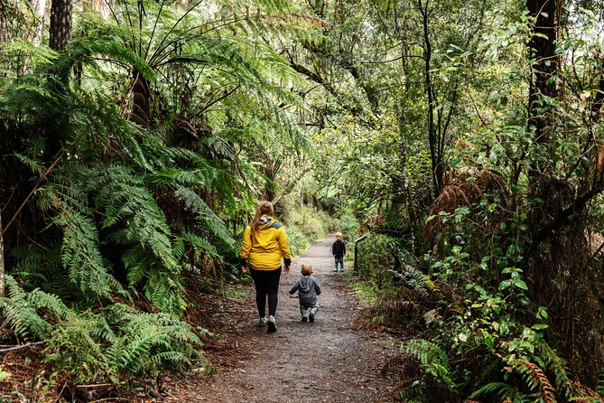 Puffing Billy & Rainforest Tour from Melbourne - A half-day plan that actually fits real life