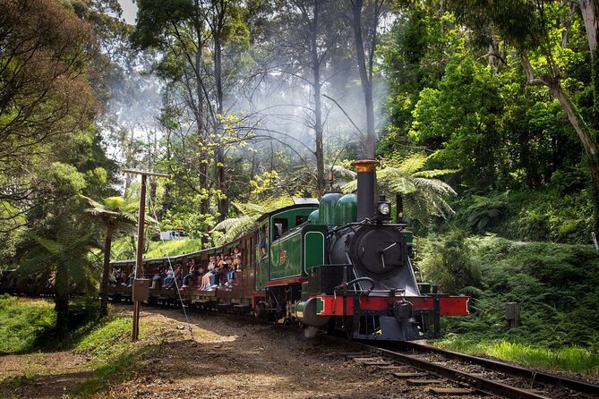 Puffing Billy Steam Train Experience - The guide and group vibe: friendly, funny, and actually useful