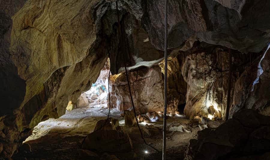 Queensland: 90 Minute Capricorn Caves Explorer Tour - The Flowerpot: roots, growth, and coral-formed rock details