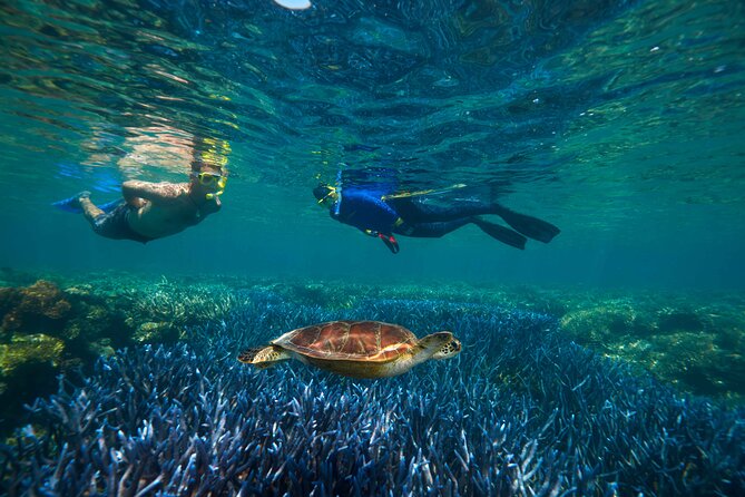 Quicksilver Great Barrier Reef Snorkel Cruise from Port Douglas - The fast catamaran run, and how to handle seasickness